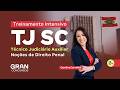 Noções de Direito Penal | Treinamento Intensivo TJ SC - Técnico Judiciário - Com Carolina Carvalhal