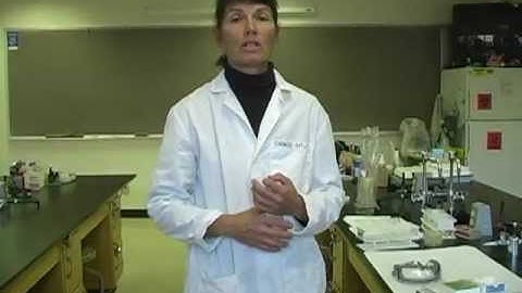 Microbiology Lab Tour & Safety