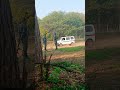 #viral #automobile #trending #love #쩐다 #popular #pabalik