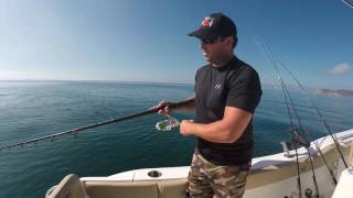 yellowtail retrieve