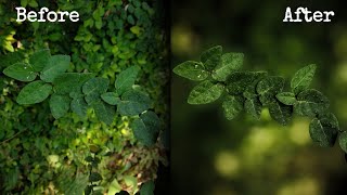 Snapseed & Lightroom editing | Blur Background  | Leaves | Create wallpapers for phone screenshot 2