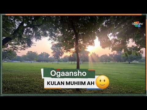 Kulan Muhiim ah | 01 | Ogaansho | Update Muhiim ah .