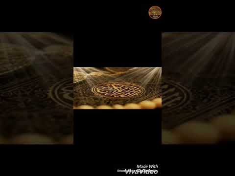 كلمة للأخ خالد مصطفى بعنوان أتيت القبور فناديتها 