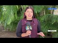 Noticias en la Mañana en Vivo ☀️ Buenos Días Martes 22 de Septiembre 2026 - Venezuela