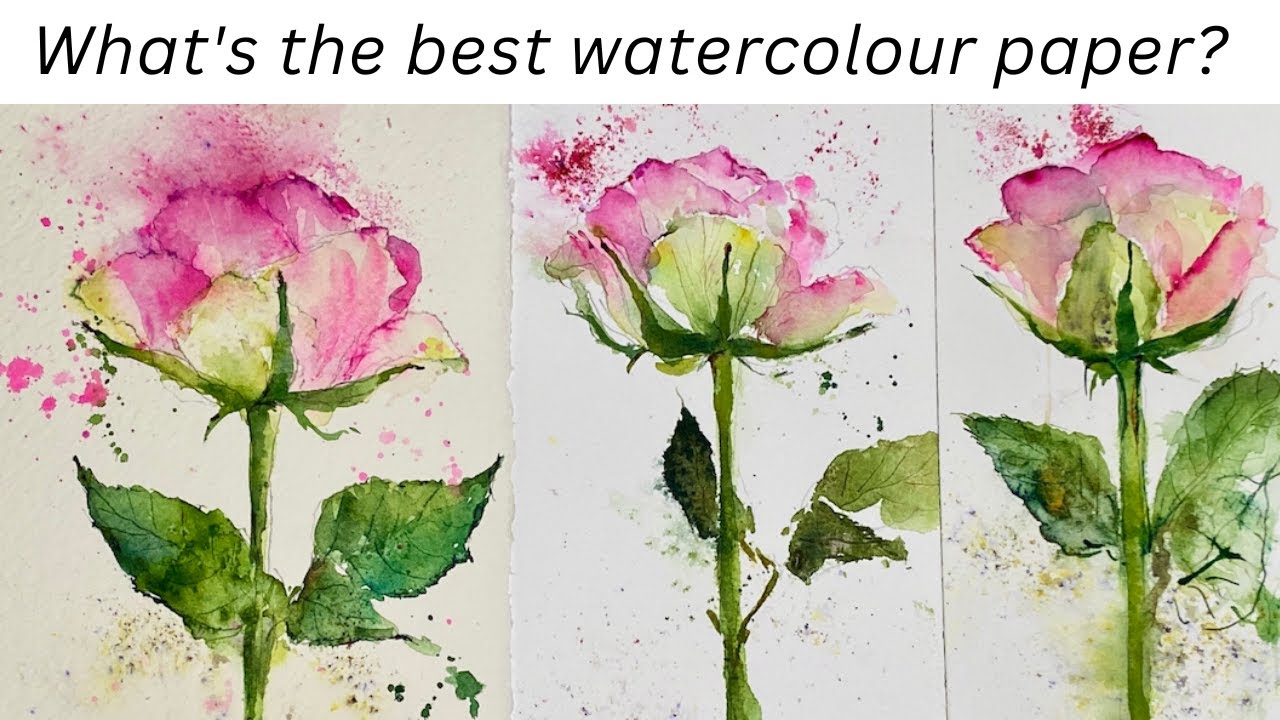 Best watercolor paper for beginners, and why.