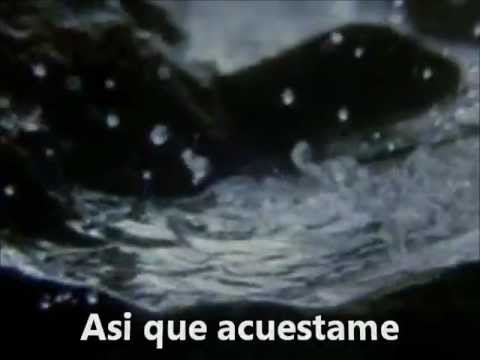 Florence And The Machine - What The Water Gave