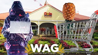 Upside Down Pineapple Cyber Attack
