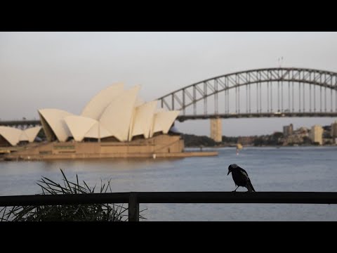 China Is A Significant Part Of Australia’s Tourism: Australian Tourism Industry Council