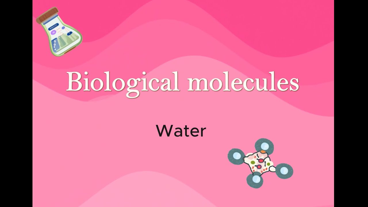AS Biology - Water