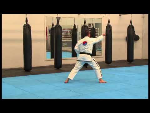 Grade 8 - Yellow Belt Pattern - Dan Gun (Rear View)