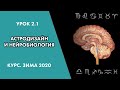 #Астродизайн и Нейробиология.Картирование реальности мозгом. Системы мозга: СВЗ, ЦИС, ДСМ.Урок 2.1