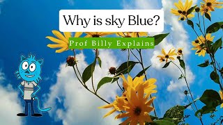 Why is the sky blue? Explained by Prof. Billy | Kids Education