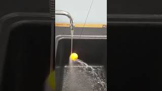 Bernoulli and Ball? #Shorts