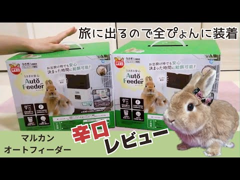 辛口レビュー】マルカンのオートフィーダーってどうなん？徹底解説