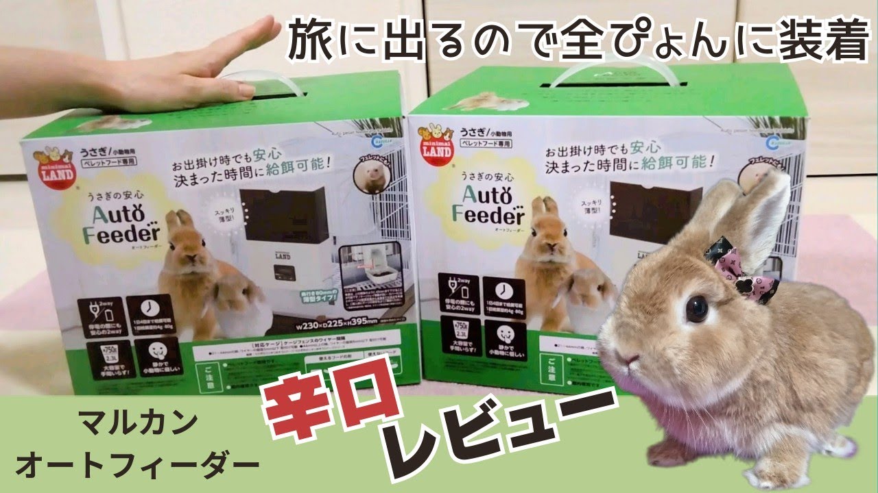 辛口レビュー】マルカンのオートフィーダーってどうなん？徹底解説