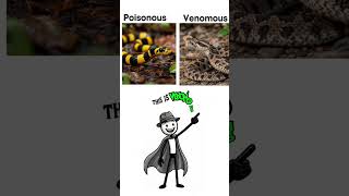 what's the difference blackmail vs extortion virus vs bacteria ! #shorts #shortvideo #educational
