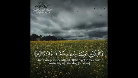 ما تيسر من سورة الفرقان للقارئ أنس الغامدي