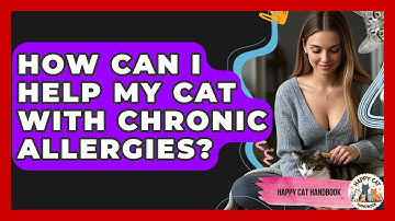How Can I Help My Cat With Chronic Allergies? - Happy Cat Handbook