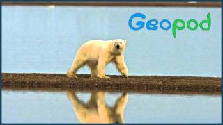 Geopod Episode 6: Global Warming