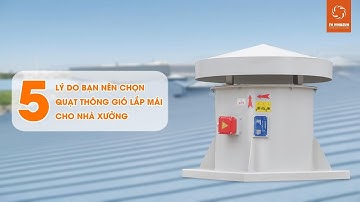 5 lý do bạn nên chọn quạt thông gió lắp mái cho nhà xưởng