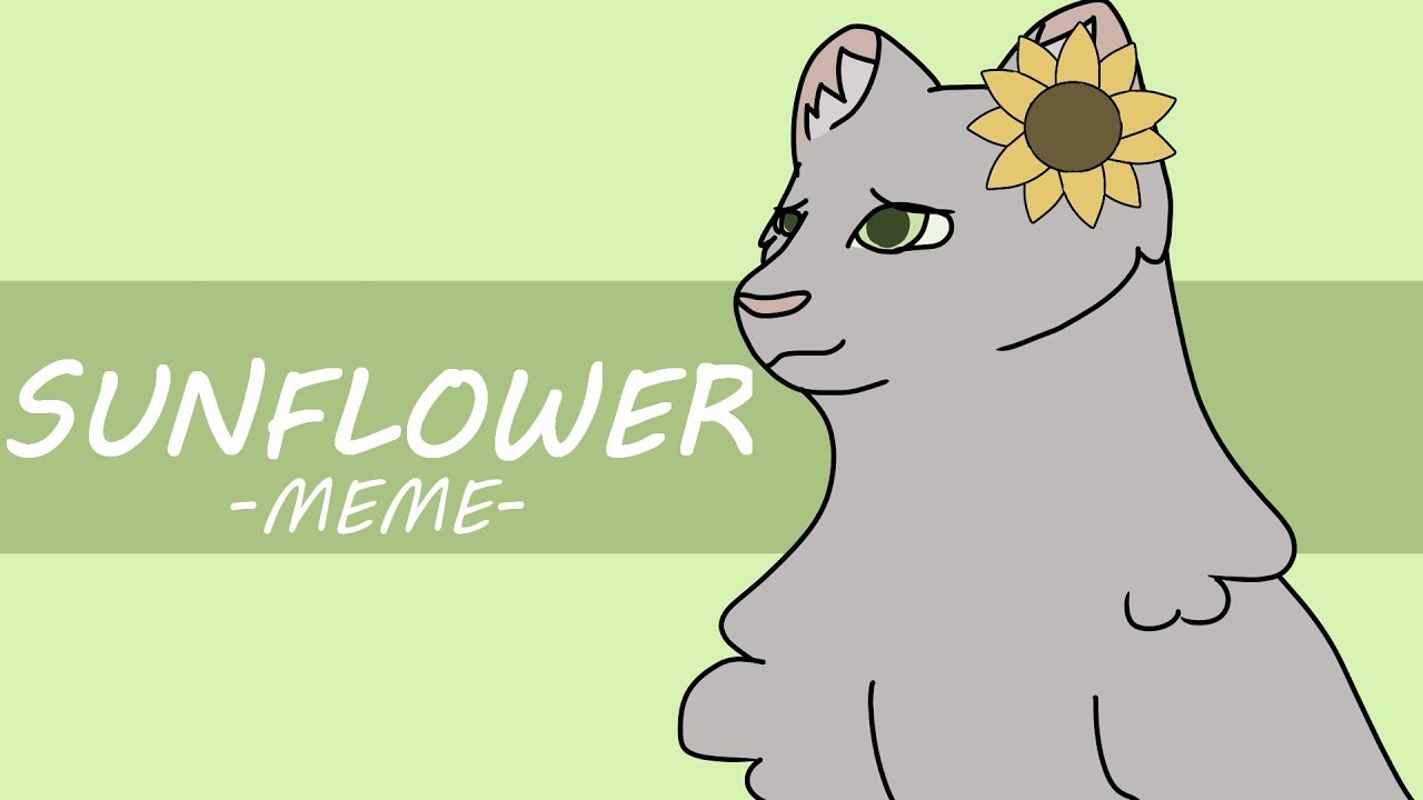 Sunflower Meme YouTube