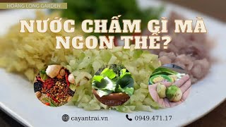 Top 7 cách làm nước chấm xá kiếng đặc sắc nhất năm 2022