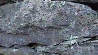 Macbeth Part 2- Coming Home