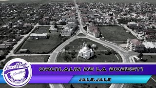 Orch.Alin de la Bobesti - Jale,jale  by 👍🏻NeverHideEvents🔔