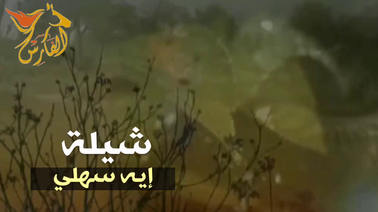 الشيلة إيه سهلي إهداء للمحامي طلال بن سعد الجلال السهلي كلمات ناهض السهلي  أداء / حسن السهلي
