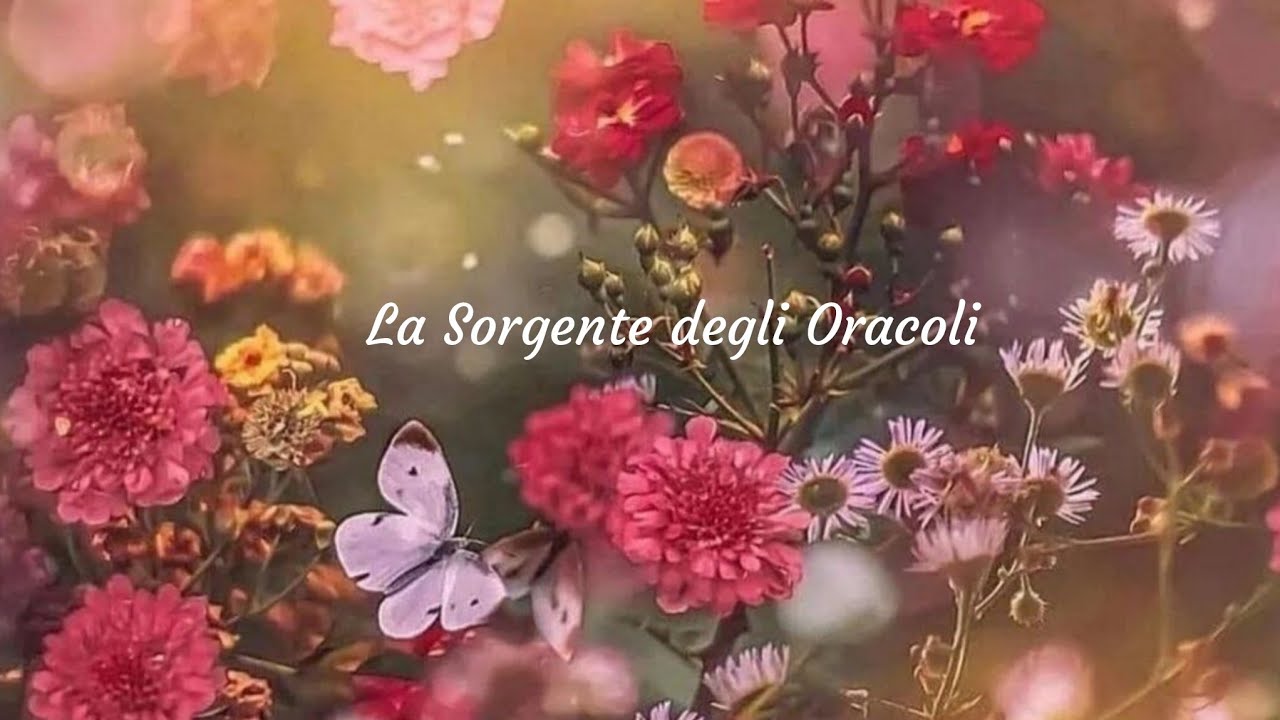 Tutti i suoi pensieri su di te 🪶