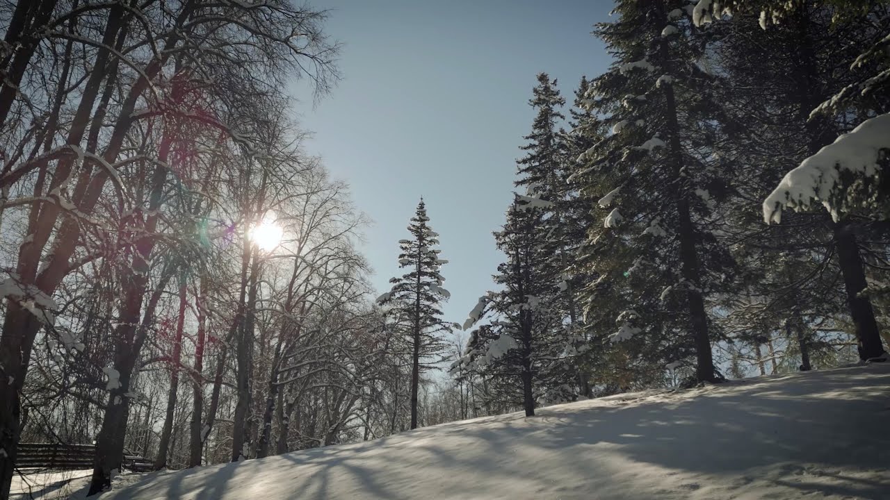 Raimonds Tiguls | Tiguļkalns | Veltījums Talsiem