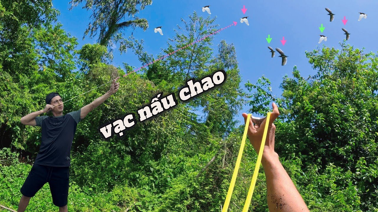 Đi săn vạc bay cùng team về làm món nấu chao lai gai cùng aE | Đảm Nguyễn