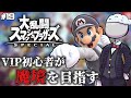 【スマブラSP】VIP初心者が魔鏡を目指す放送#19