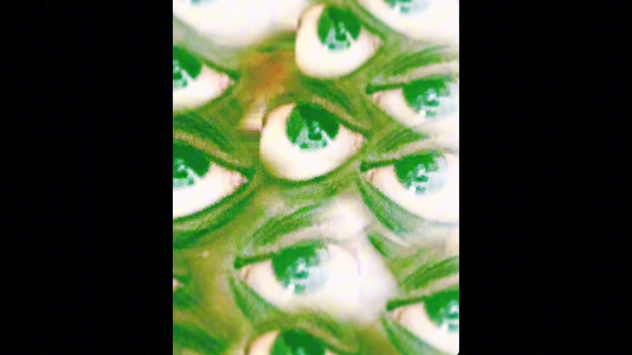 Road to fame (official Ivo audio)