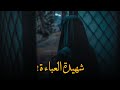 فتاة ق ت لت شنقا بعباءتها الشهيدة زينب كمايى 