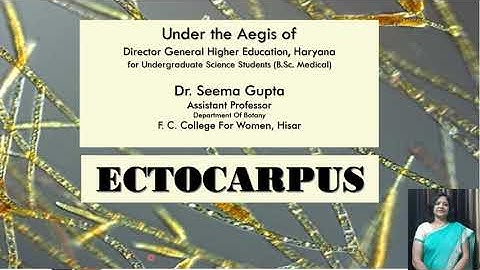 ECTOCARPUS Part 1