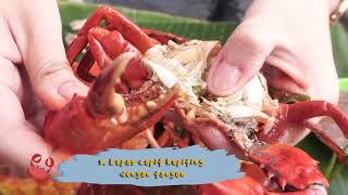 GAK SUSAH! BEGINI LHO CARA MAKAN KEPITING YANG BENAR