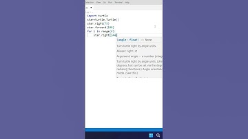 Draw Star Using Python Turtle😊 | THE CODING GUIDE