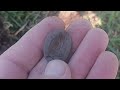 Metal Detecting 6.21.25 Cool Things #metaldetecting #treasuresearch