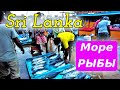 Рыбный рынок. Шри ланка 2022. Beruwala Fish Market. Sri Lanka.