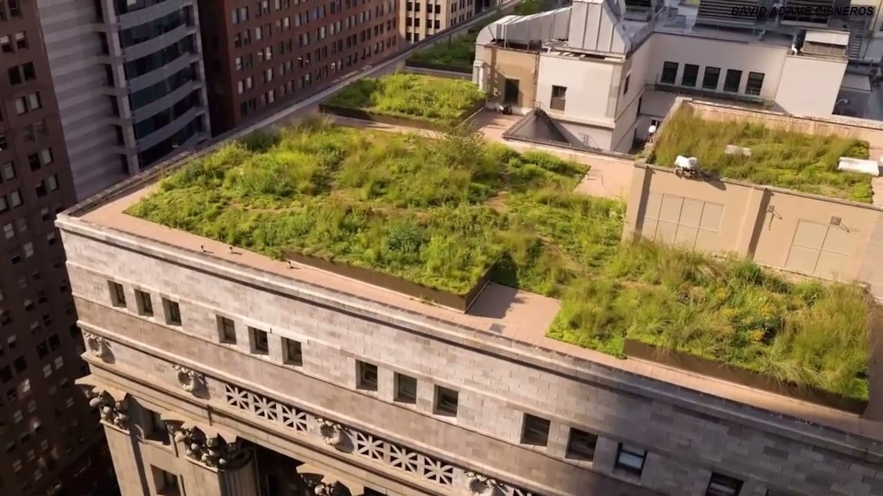 Ecobuildings Techos verdes, Muros hidropónicos y Techos hidropónicos