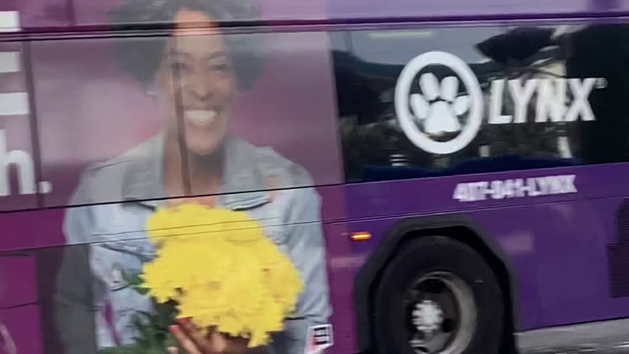 Lynx buses in action (2020)