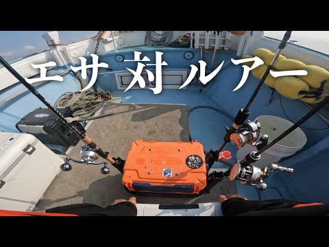 【日本海】ルアーはエサ釣りに勝てるのか？！のサムネイル