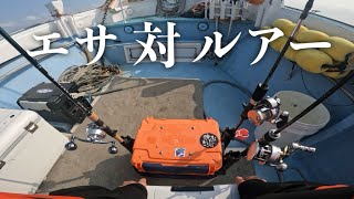 【日本海】ルアーはエサ釣りに勝てるのか？！