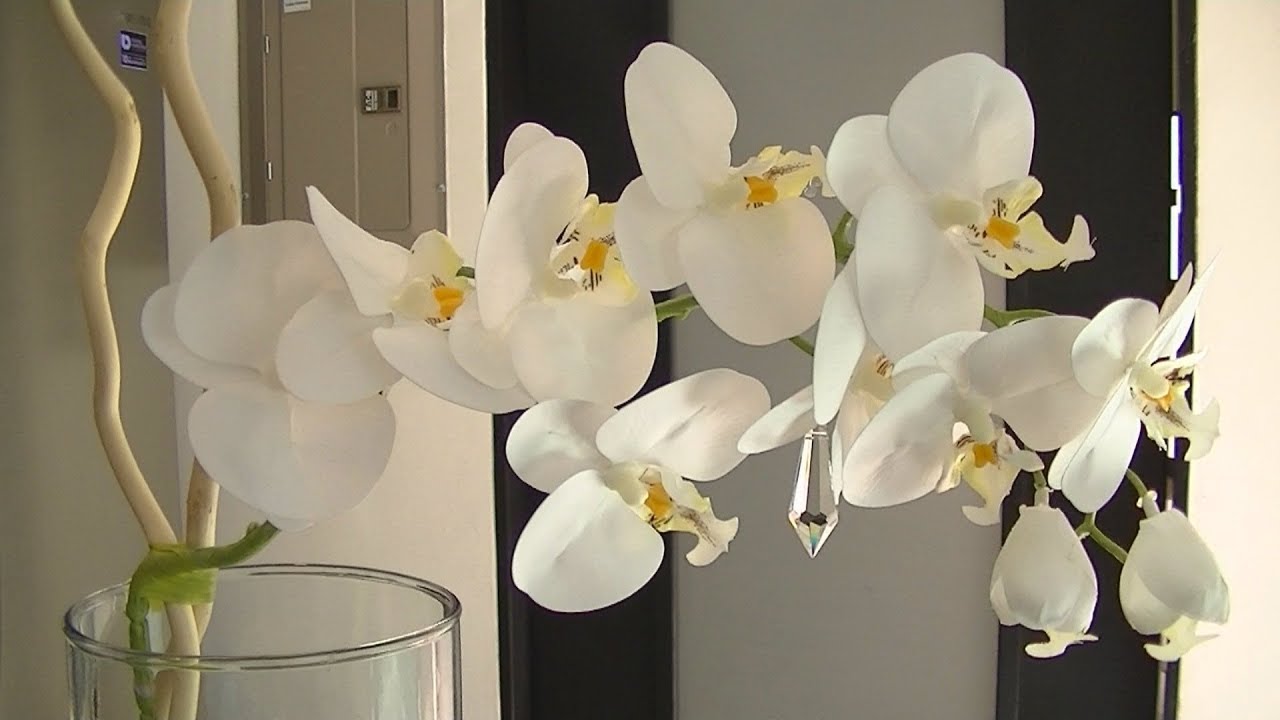 Diseño Floral con Orquideas Blancas - YouTube