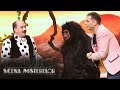 Gorila uriașă King Kong există! Monstru gigant cântă la Scena Misterelor melodia Jaga, Jaga