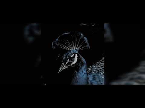 ليجي سي - النية (بطيء)  (slowed) Lege_cy - elnea