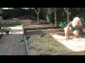 Grow Cannabis – Jorge's Garden Day 4 Part 2– by Jorge Cervantes
