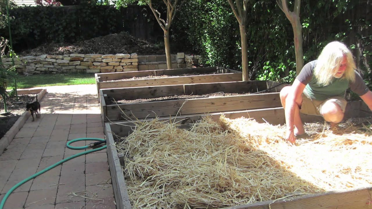 greenhouse gases Grow Cannabis – Jorge's Garden Day 4 Part 2– by Jorge Cervantes