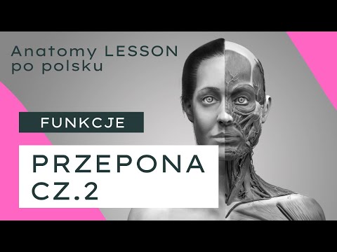 ANATOMY LESSON po polsku - #6 Przepona cz 2 - wielofunkcyjność